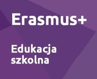 Erasmus - edukacja szkolna